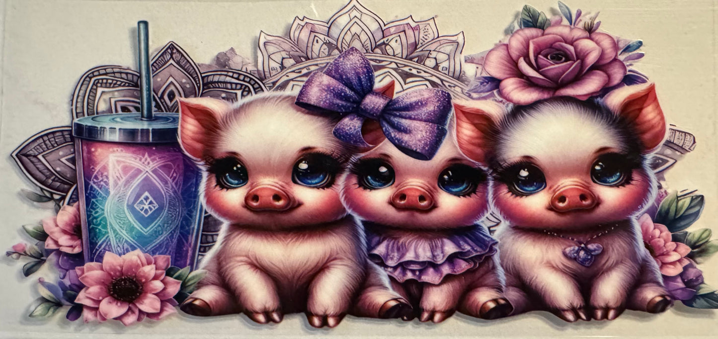 Pig001