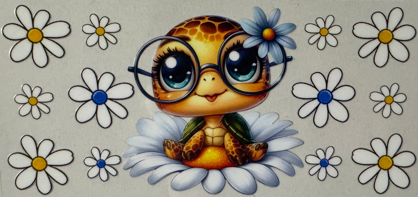 Turtle004