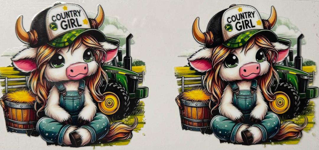 Country girl Highland cow