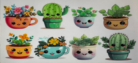 Succulents