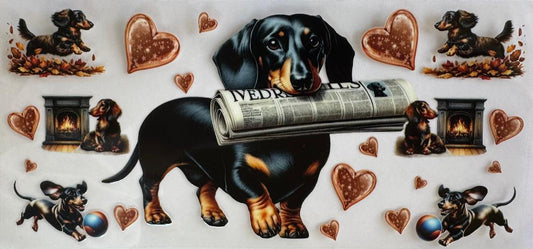 Dachshund newspaper