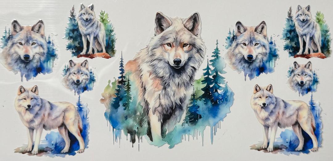 Wildlife wolf