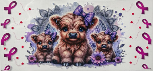 Highland Cow Awareness
