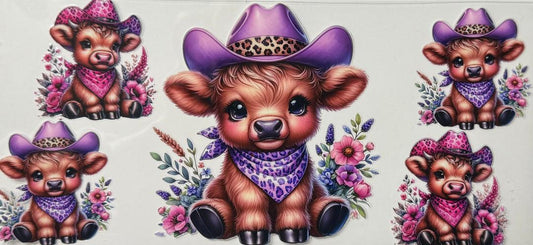 Highland Cow purple and pink