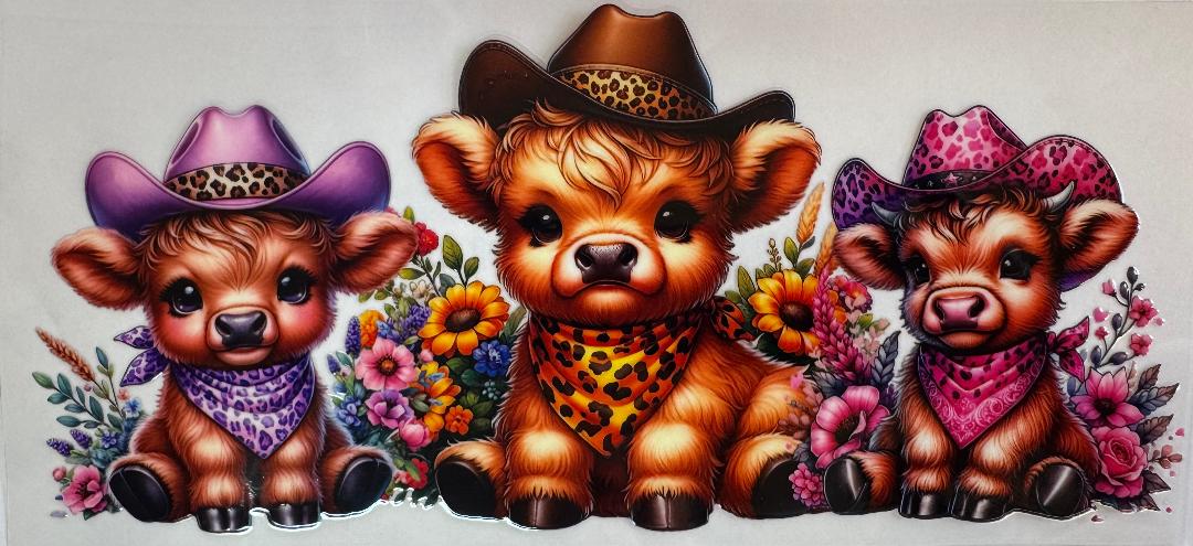 Highland Cowboys