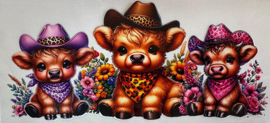Highland Cowboys