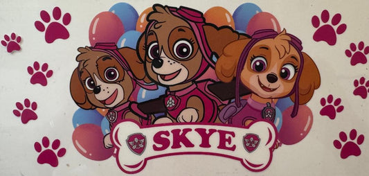 Paw Patrol Skye