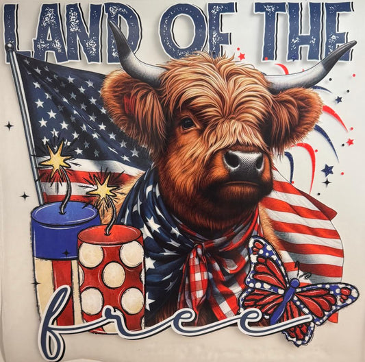 Land of the Free