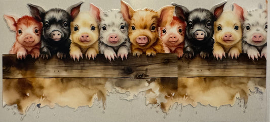 Pig003