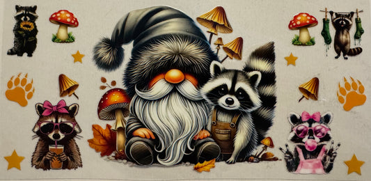 Coon002