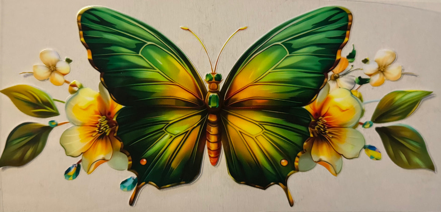 Fly015