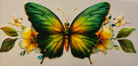 Fly015