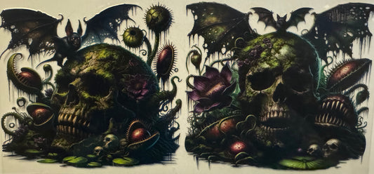 Skull002