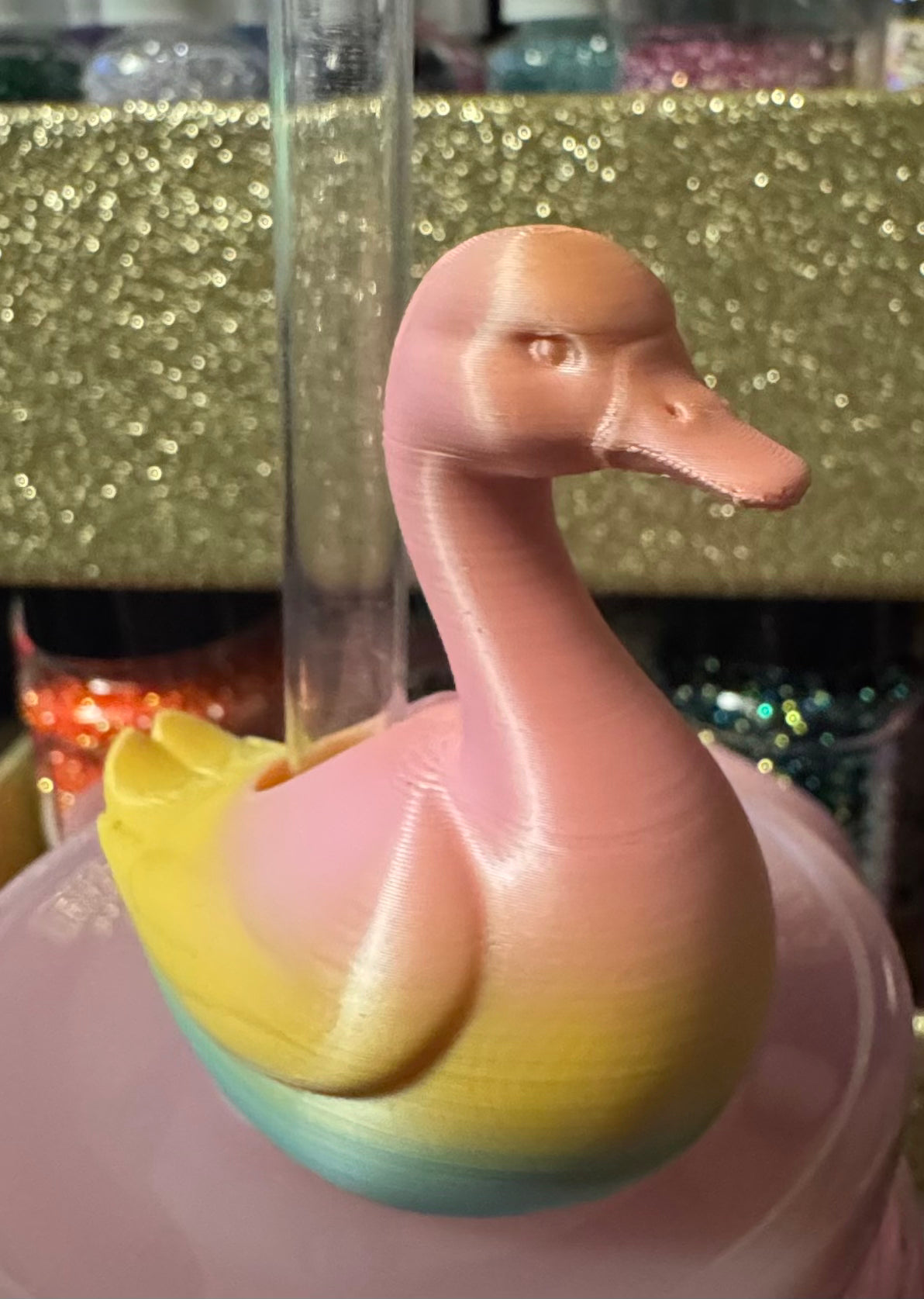 Swan