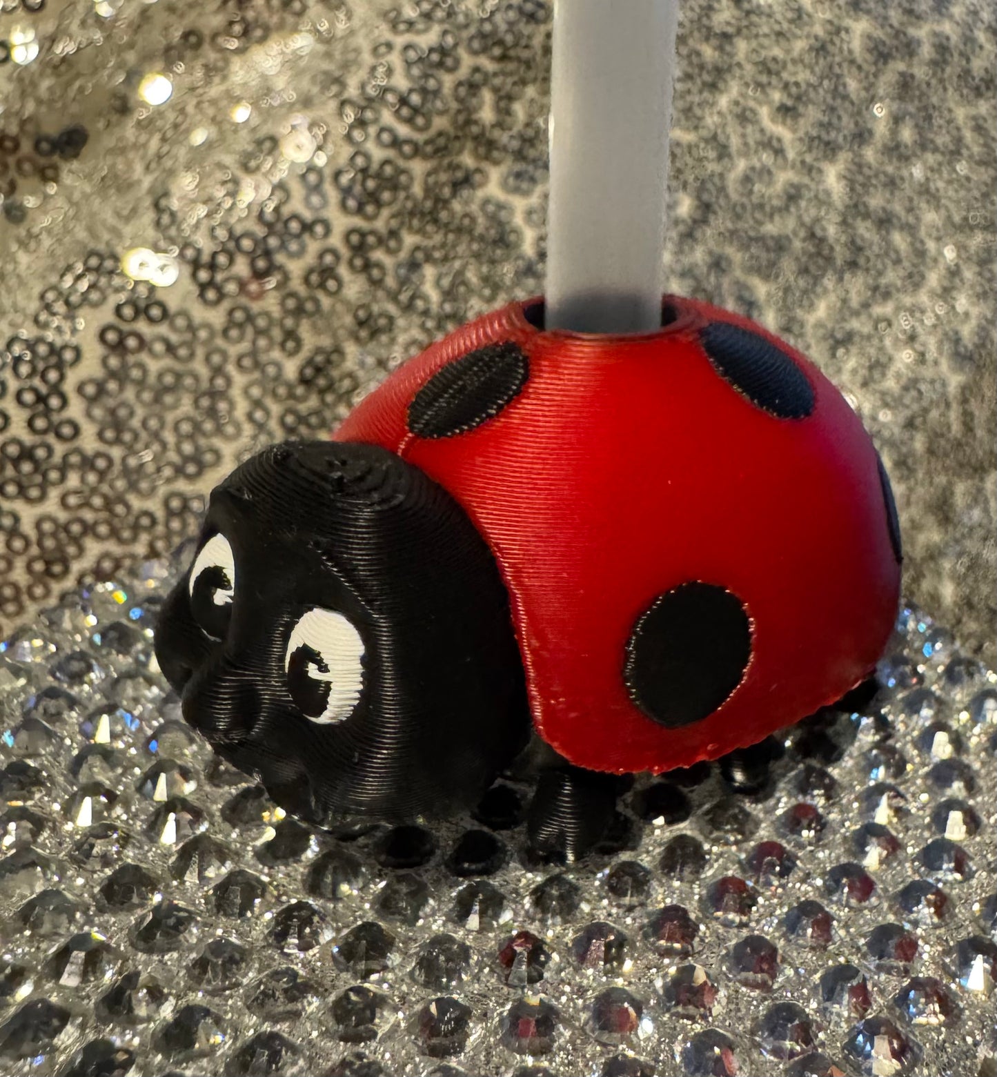 LadyBug