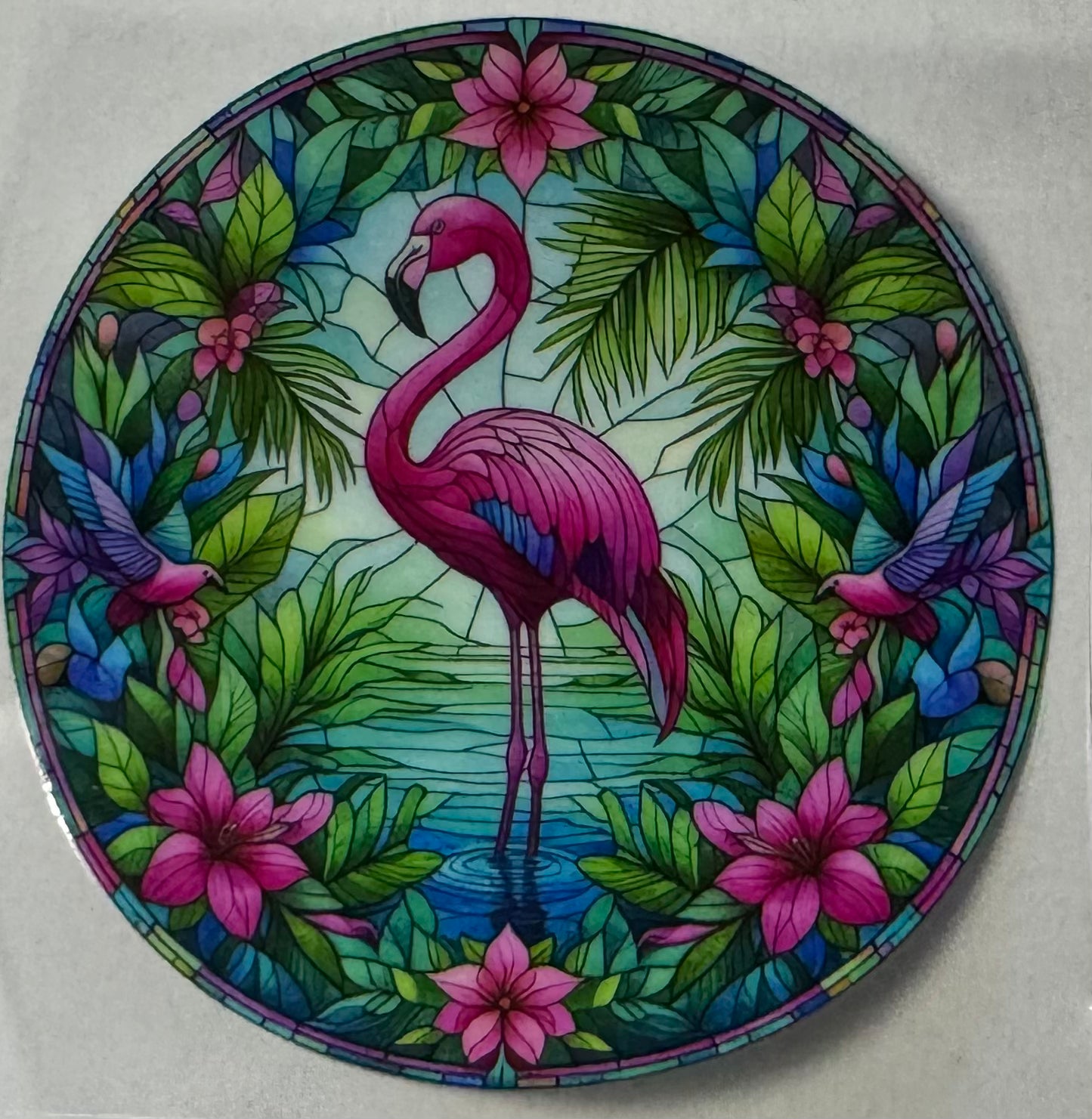 Flamingo002