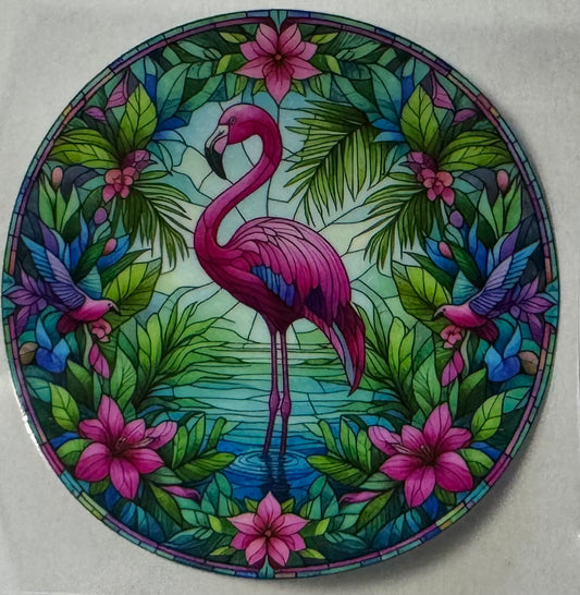 Flamingo002