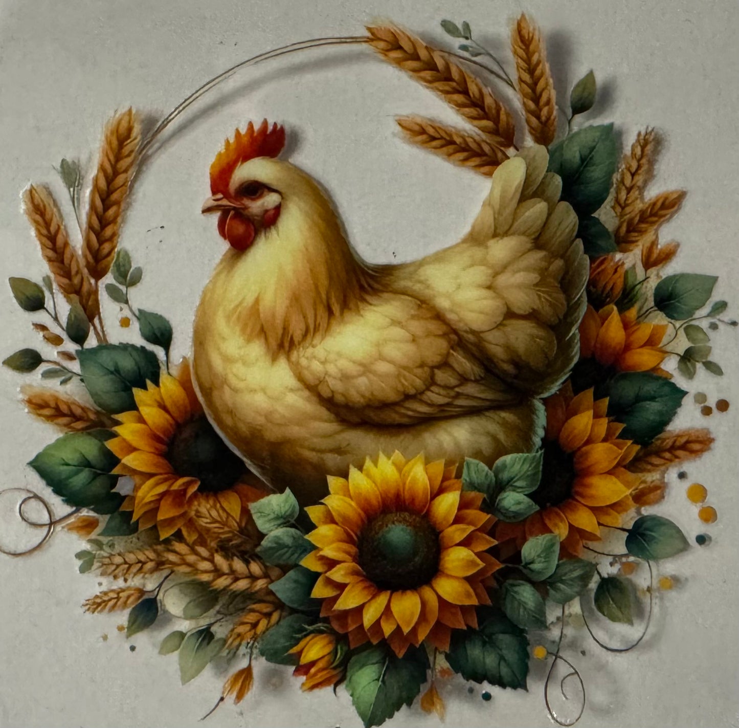 Chick001