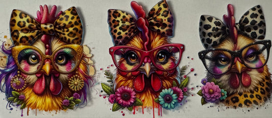 Chick004