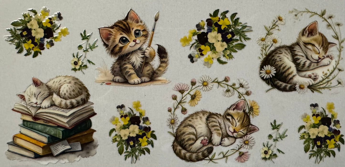 Cat014
