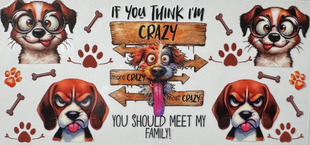 If you think I'm crazy dogs