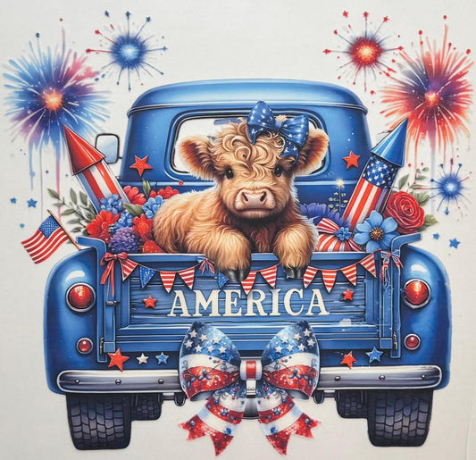 American Highland Cow