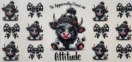 I have an attitude