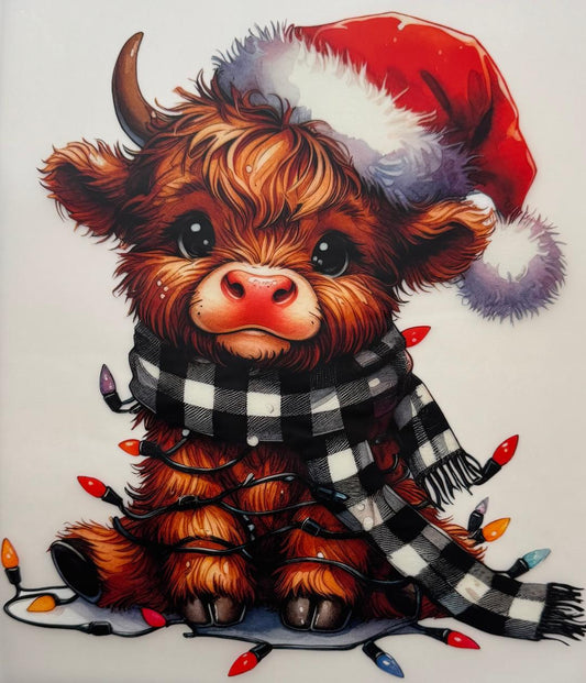 Highland Cow in lights