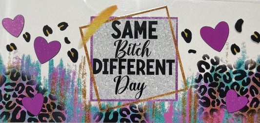 Same B* Different Day