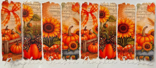 Pumpkin Season